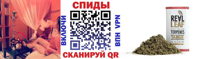 kraken ССЫЛКА  купить  цена  Москва  Бутират Butirat 
