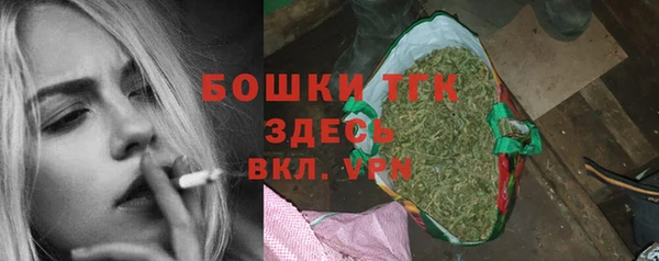 не бодяженный Горно-Алтайск