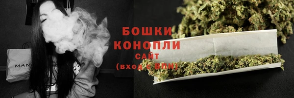 не бодяженный Горно-Алтайск