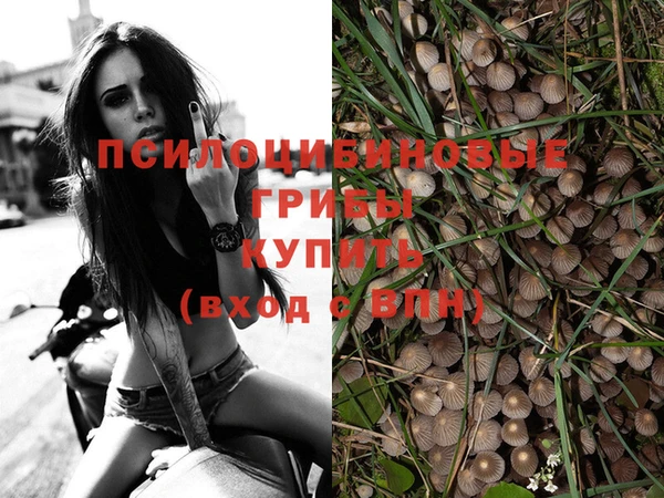 не бодяженный Горно-Алтайск