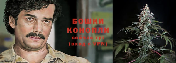 не бодяженный Горно-Алтайск