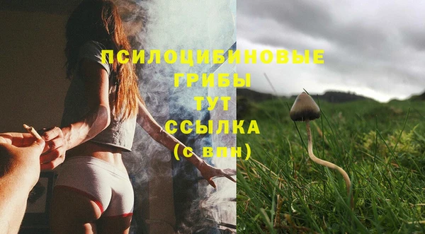 не бодяженный Горно-Алтайск