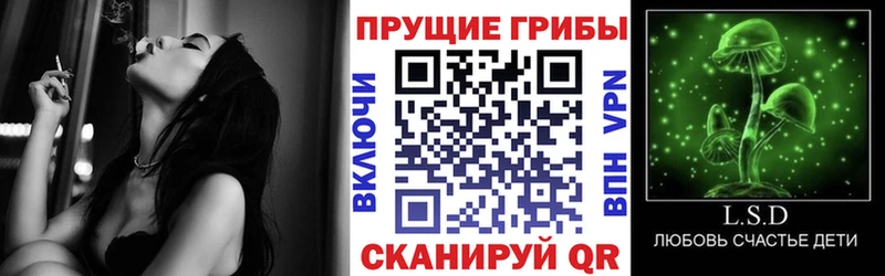 Псилоцибиновые грибы GOLDEN TEACHER  MEGA как зайти  Москва 